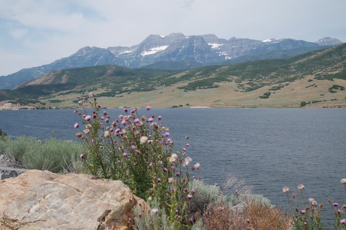 SAMSUNG CAMERA PICTURES