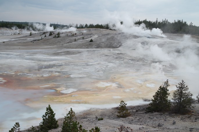 SAMSUNG CAMERA PICTURES