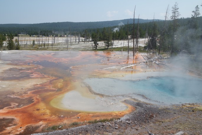 SAMSUNG CAMERA PICTURES