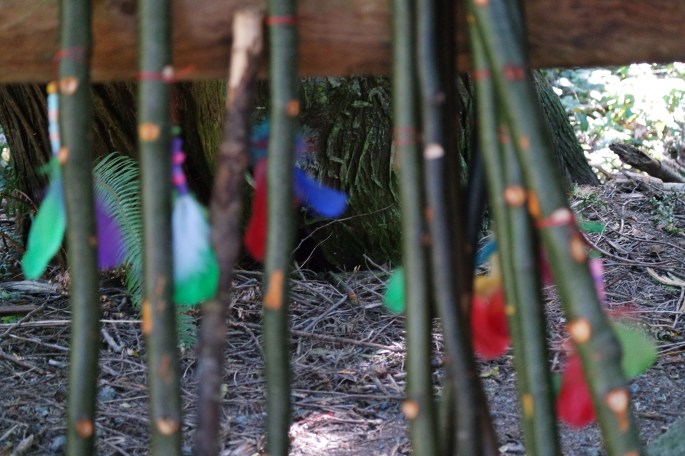 SAMSUNG CAMERA PICTURES