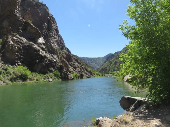 Gunnison River Bottom