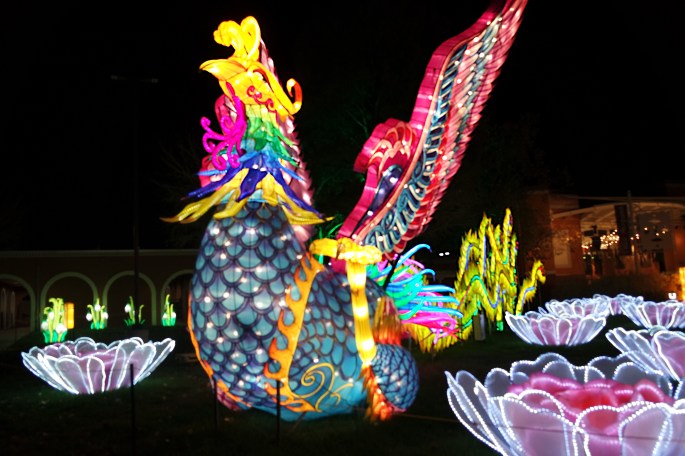 SAMSUNG CAMERA PICTURES