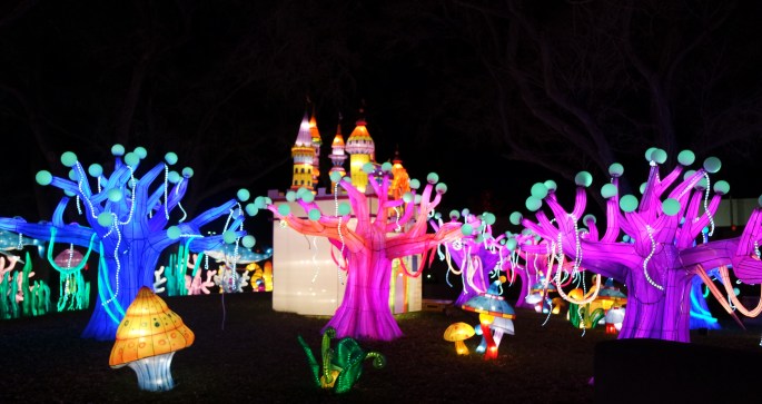 SAMSUNG CAMERA PICTURES