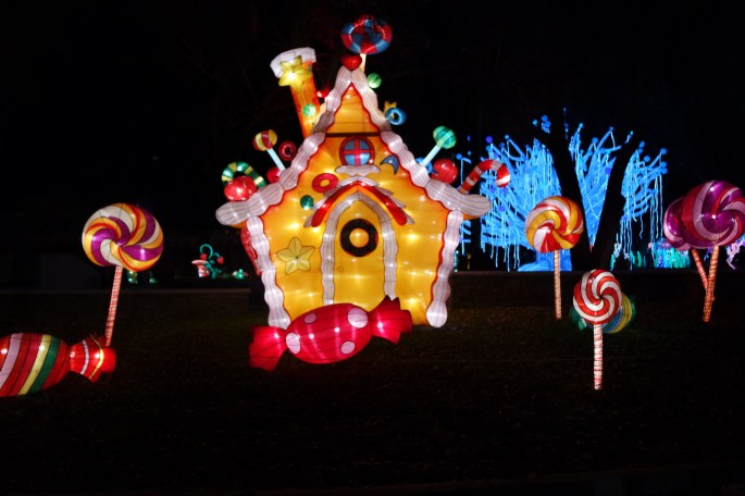 SAMSUNG CAMERA PICTURES