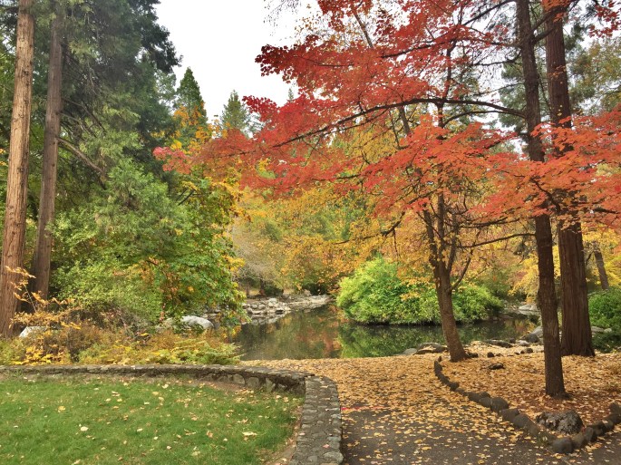 lithia park